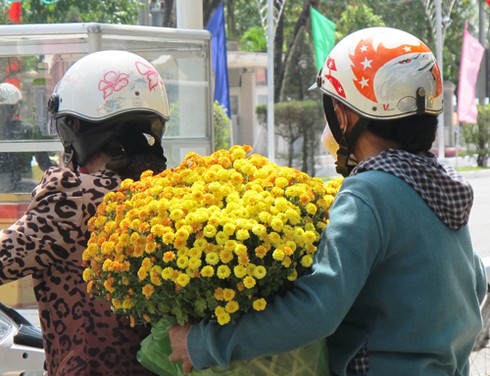 Rực rỡ thành phố trẻ Cà Mau - ảnh 1